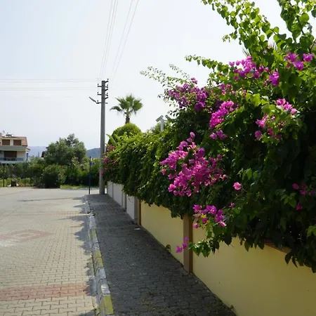 Villa Mountain View