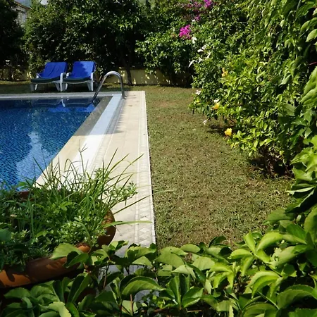 Mountain View Villa
